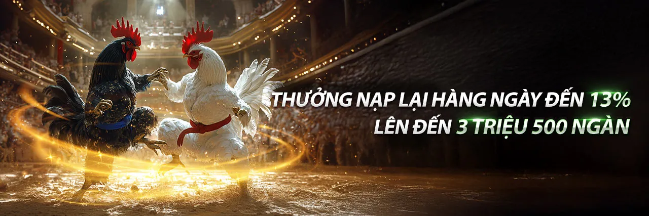 Giao diện ứng dụng 368 Bet Live trên điện thoại
