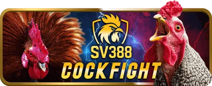 Trò chơi Slot 3D với đồ họa sống động